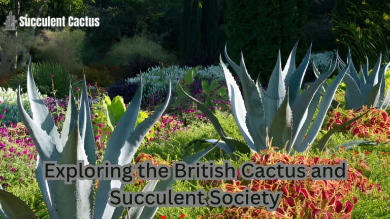 British cactus and succulent society