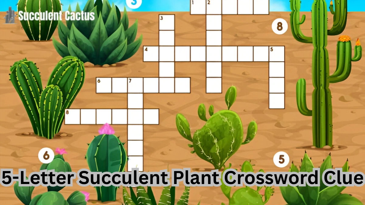 succulent plant crossword clue