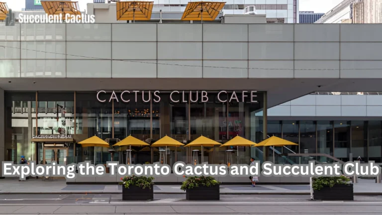 toronto cactus and succulent club