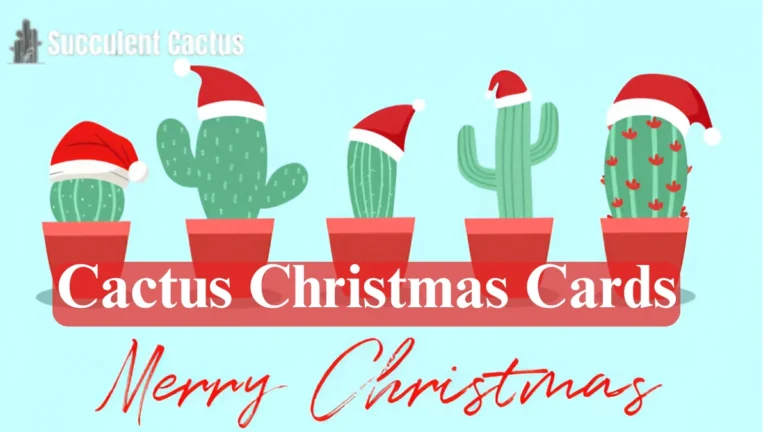 Cactus Christmas Cards