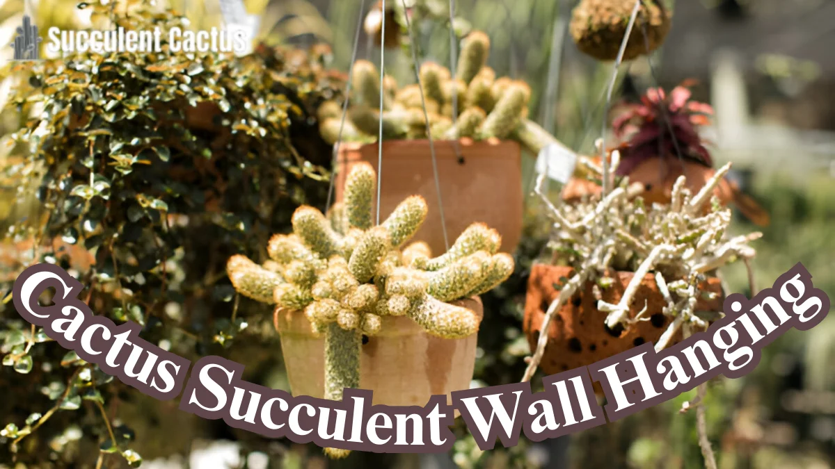 Cactus Succulent Wall Hanging