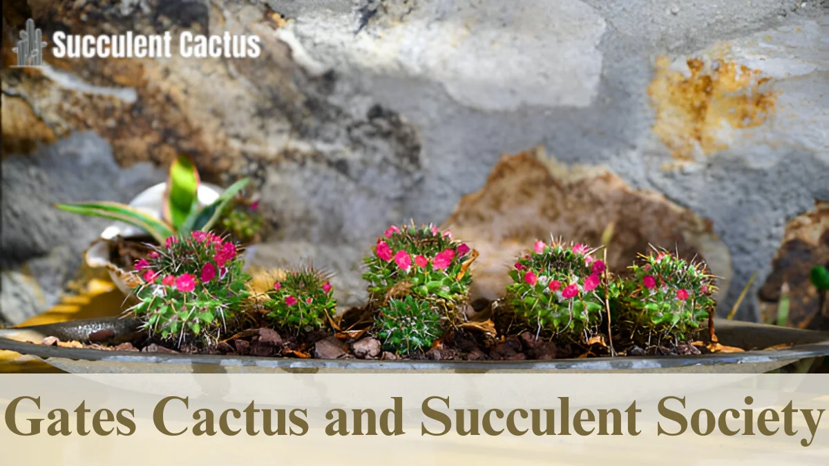 Gates Cactus and Succulent Society
