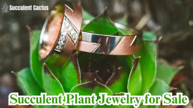 Succulent Plant Jewelry for Sale