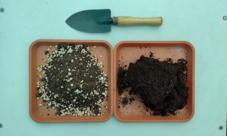 Potting Soil for Cacti