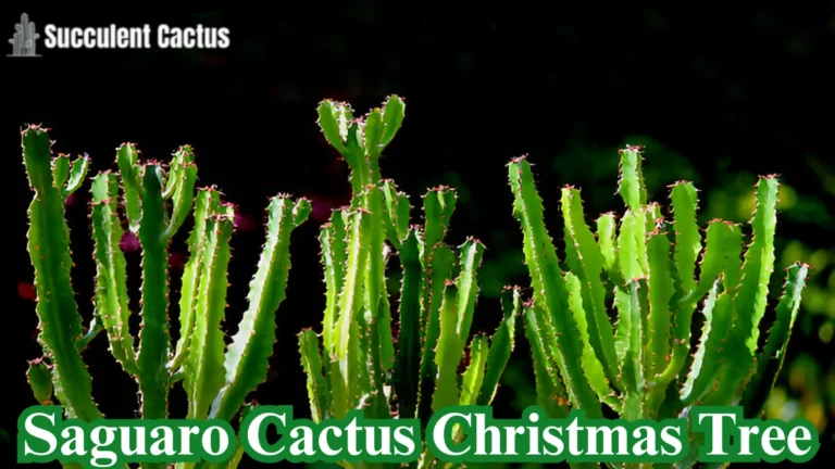 Saguaro Cactus Christmas Tree