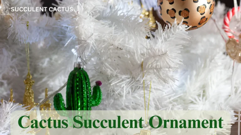 Cactus Succulent Ornament