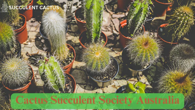 Cactus Succulent Society Australia