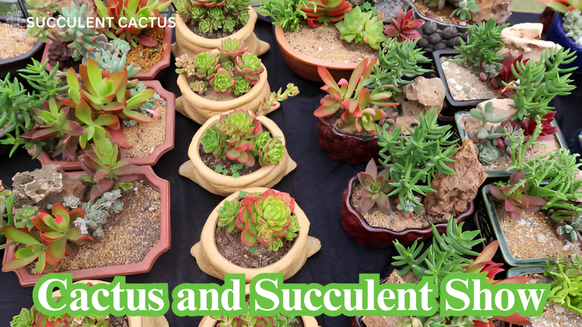 Cactus and Succulent Show