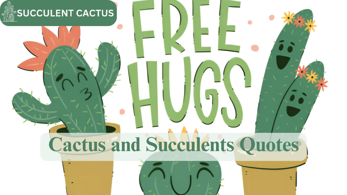 Cactus and Succulents Quotes