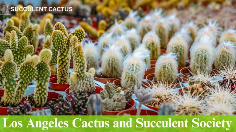 Los Angeles Succulent Society