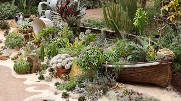 Cacti and Succulents