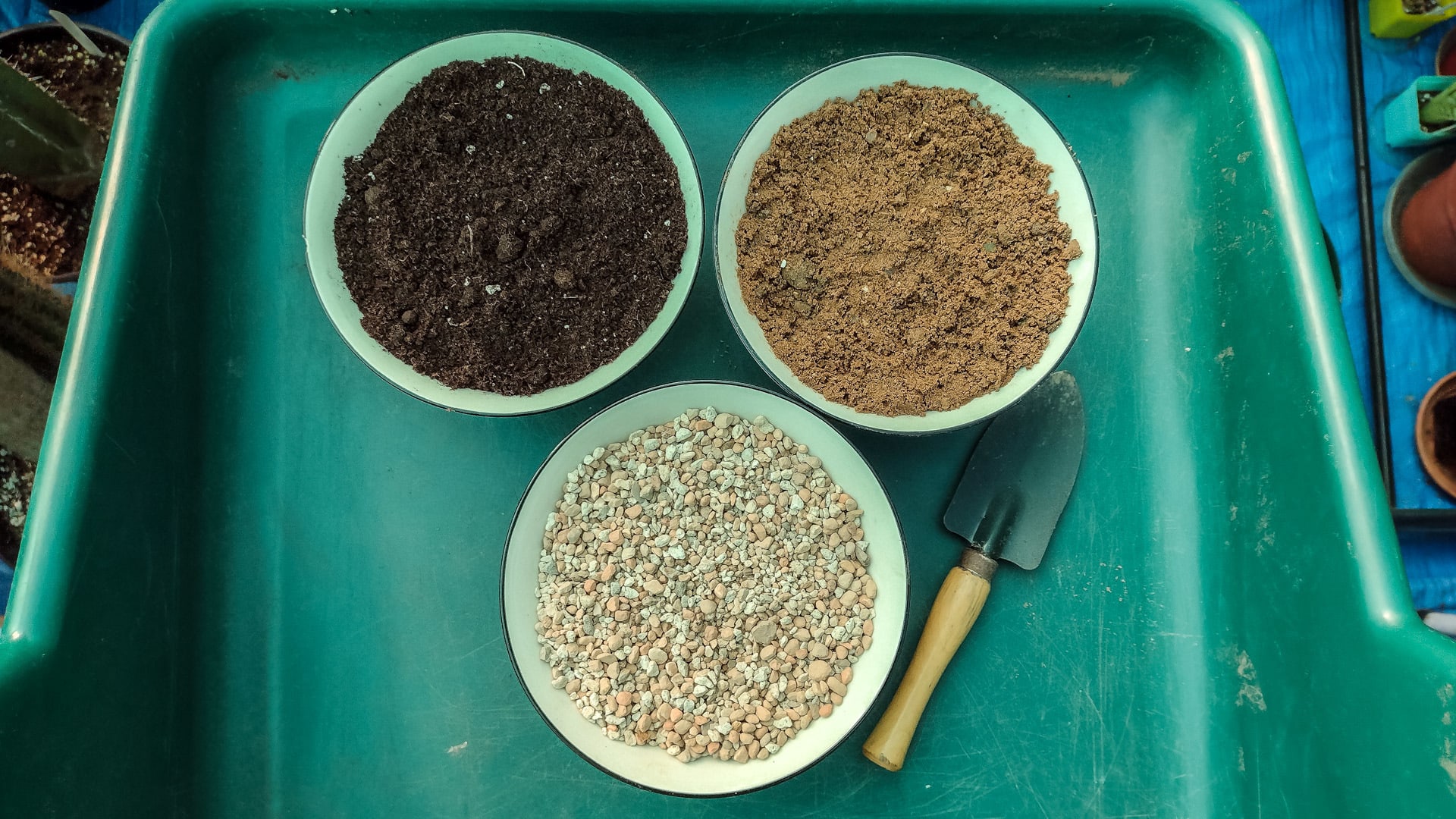 Cactus Mix Potting Soil