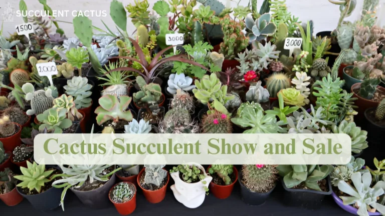 Cactus Succulent Show and Sale