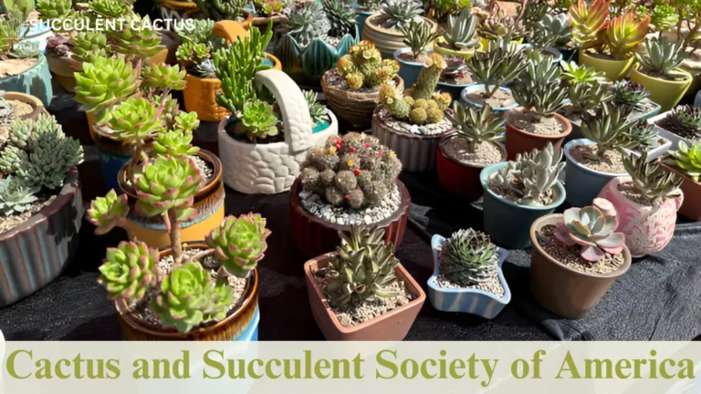 Cactus and Succulent Society of America