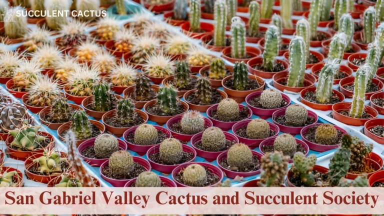 San Gabriel Valley Cactus and Succulent Society